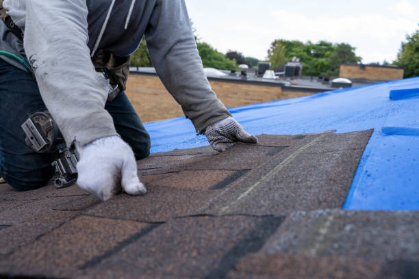 Best Flat Roofing  in Rochester, IL