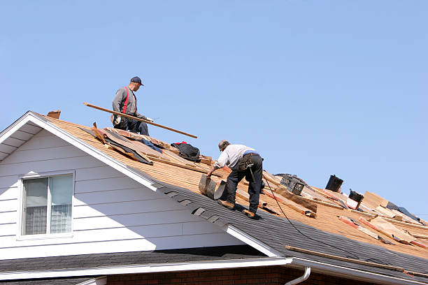 Best Roof Insulation Installation  in Rochester, IL